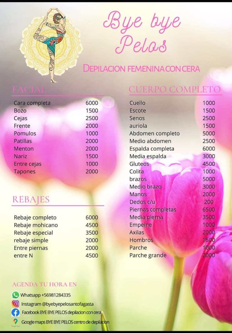 Centro de Depilación Widy Antofagasta photo