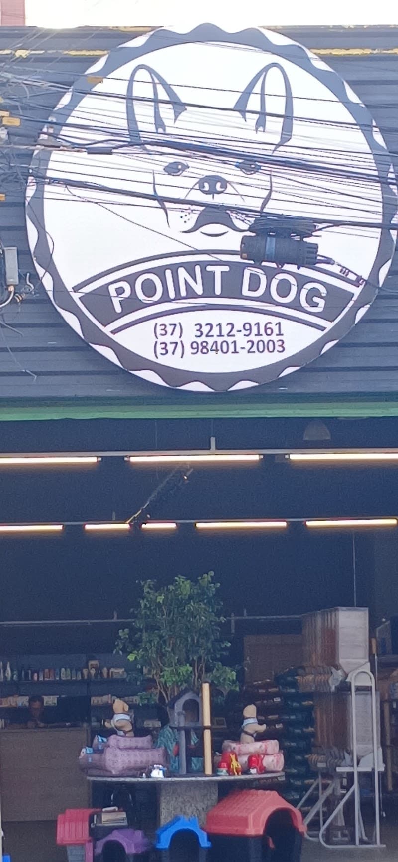 Centro de Estética para cães Point Dog Quedas do Iguaçu photo