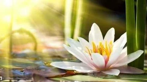 Centro Holistico Armonía Acapulco de Juárez photo