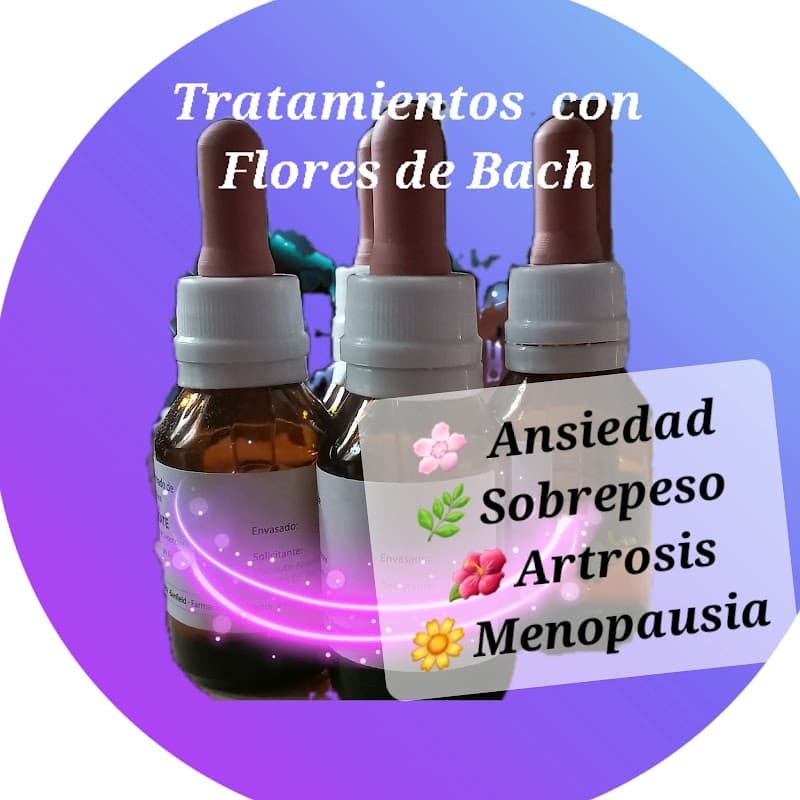 Centro Holístico Armonia y Bienestar Río Ceballos photo