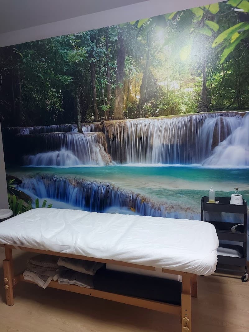 Centro Olistico La Via della Luce Busto Garolfo photo