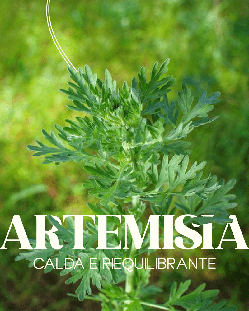 Centro Olistico Riflessologia Aromaterapia Bonnanaro photo