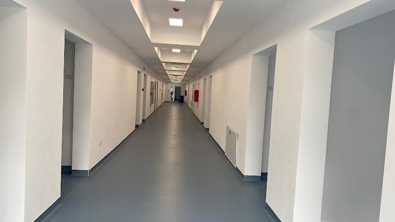 Centru Alba Sana Vita Vișeul de Sus photo