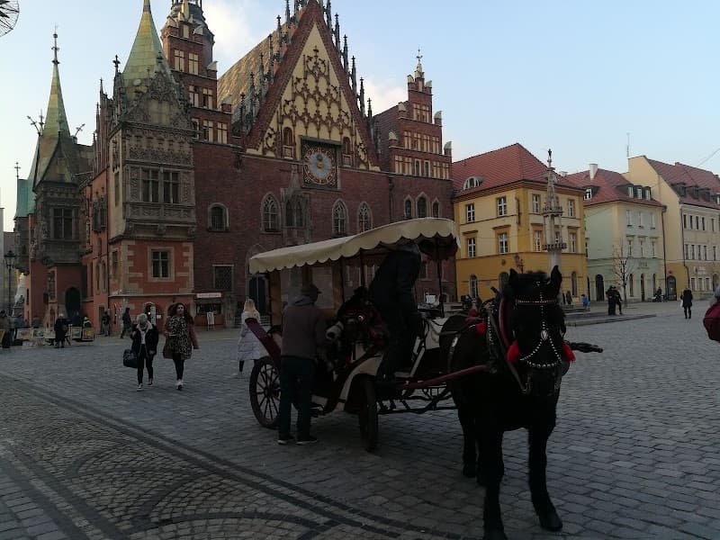 Centrum Relaksu Grota Solna Wrocław photo