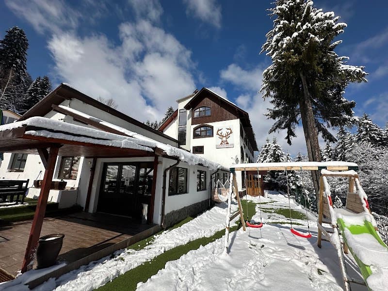 Cerbu Chalet Accommodations and Wellness Transylvania photo