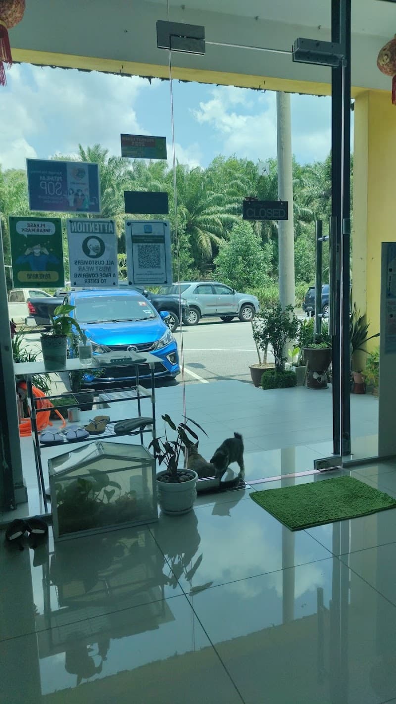 Chan Siew Hoon Beauty Centre | Slim River photo