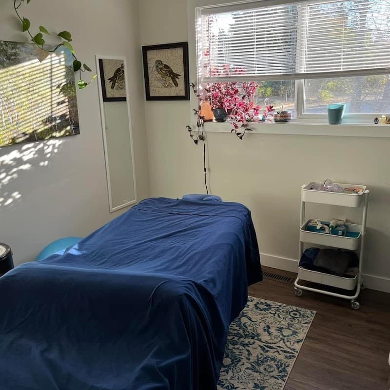 Chanda Massage Therapy and Reflexology Borden photo