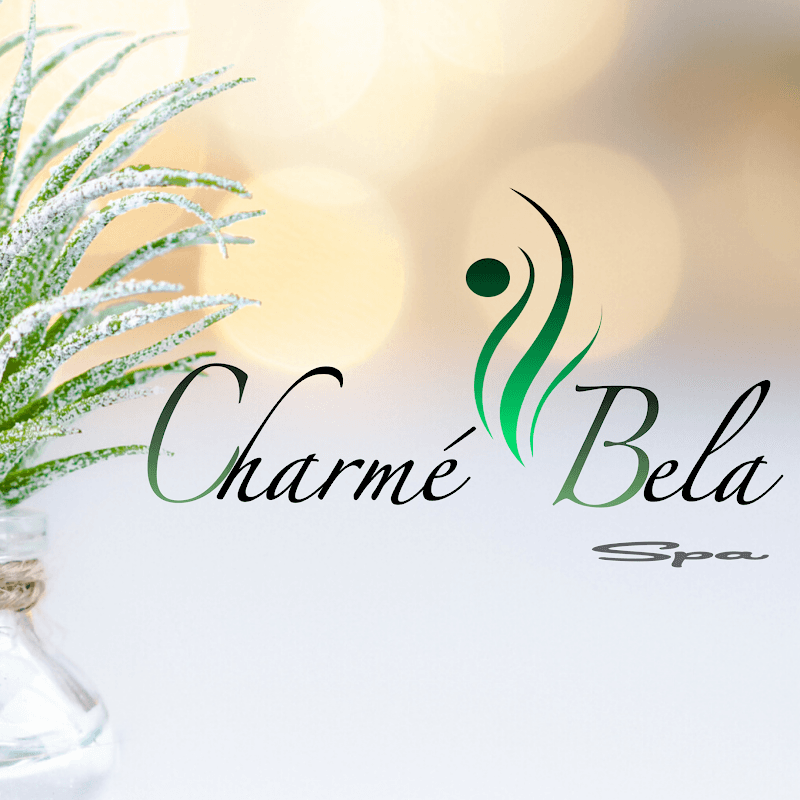 Charme Bela Spa Las Condes photo