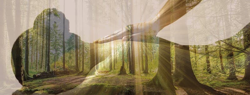 Chemin de l'Eveil Zain & Zen Chartres photo