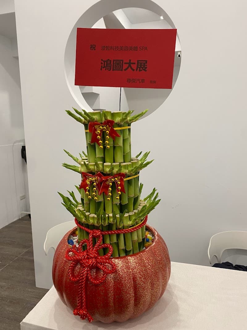 Chenxi Beauty SPA Center Taichung City photo