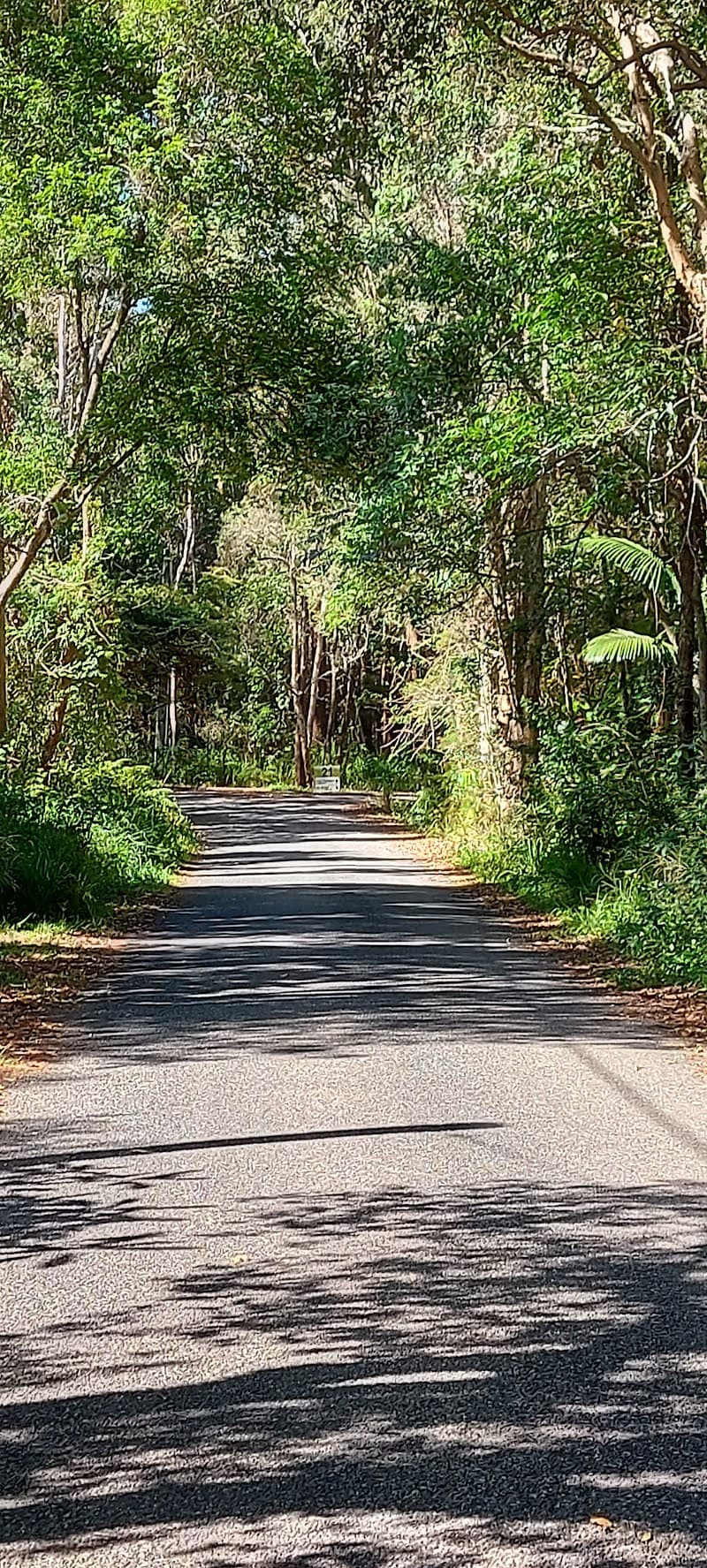 Chevallum Massage Lymphatic Clinic Palmwoods photo