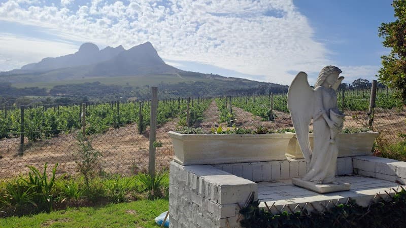 Chi-Chi's MindSpa Stellenbosch photo
