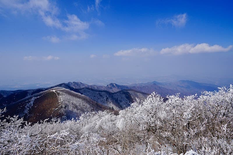 Chiaksan Hanjeungwon Wonju City photo