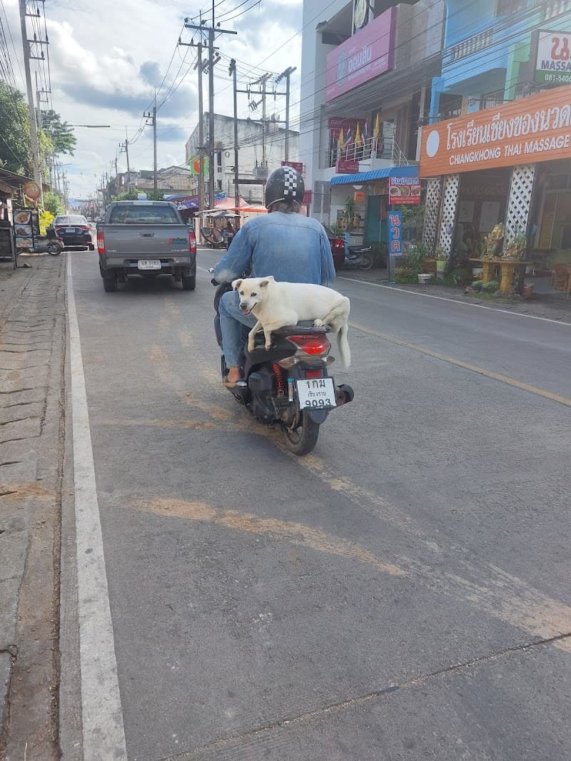 Chiang Khong Thai Traditional Massage School photo