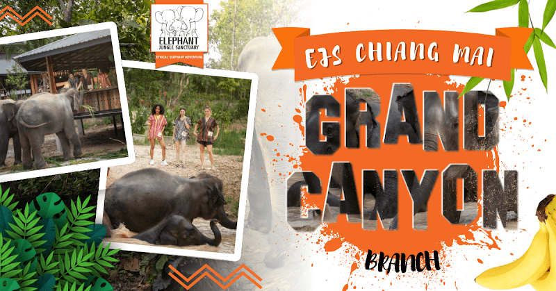 Chiang Mai Elephant Thai-style Wellness Center Zhonggong Branch Taichung City photo