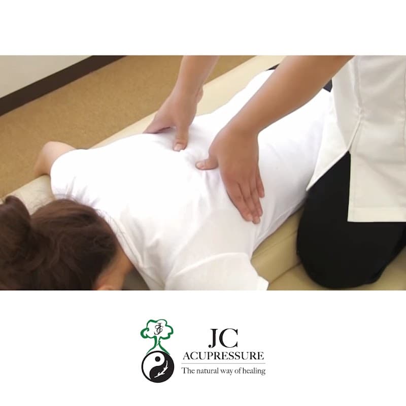 Chinese Massage Acupuncture and Study Course Randburg photo