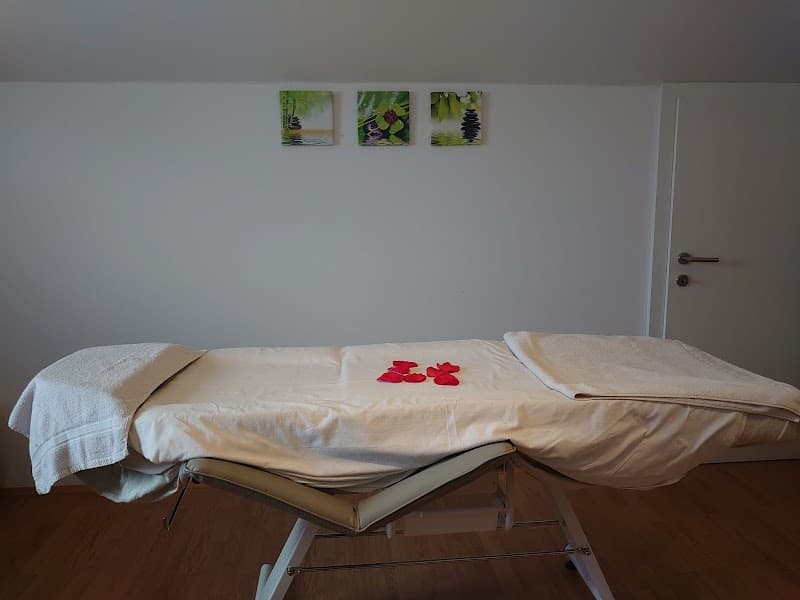 Chinesische Wellness und Hot Stone Massage Seewalchen am Attersee photo