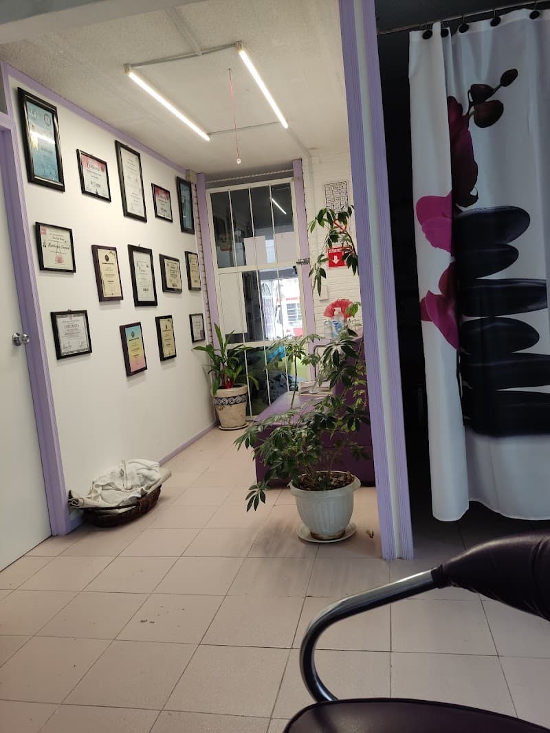 CIMMA Centro Integral de Masajes y Medicina Alterna Coacalco de Berriozábal photo