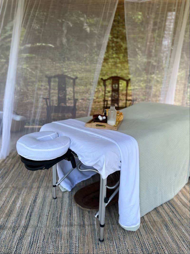 Cinthia Rodriguez Therapeutic Sanctuary / Massage & Spa Savegre photo