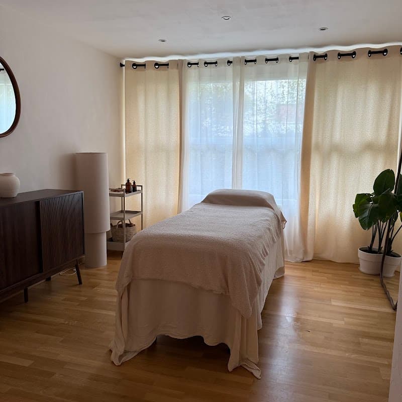 CK Renata França 74 - Drainage lymphatique & Madérothérapie Évian-les-Bains photo