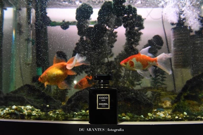 Clínica Estética Shampoo Cerquilho photo