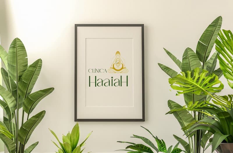 Clínica HaaiaH Caxias do Sul photo