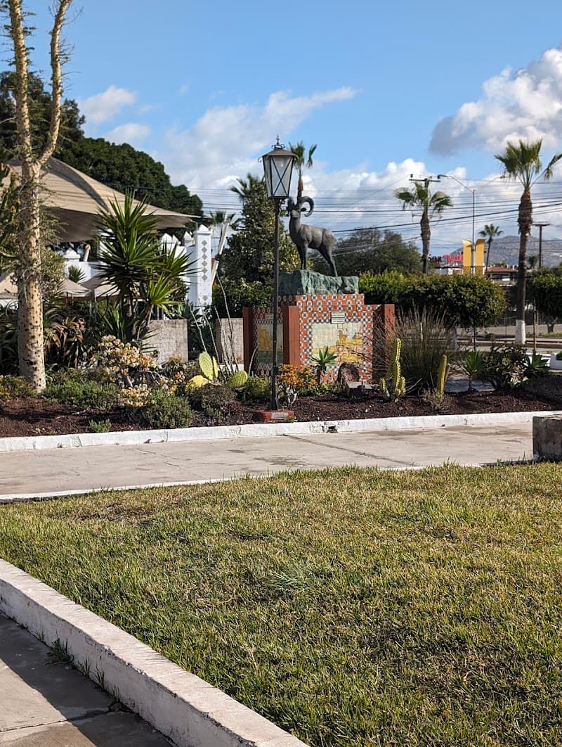 Clínica Láser y Hieloterapia Ensenada photo