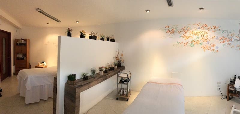 Clinica Nouveau Querétaro photo