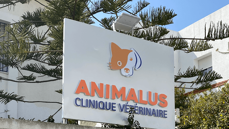 Clinique Vétérinaire AnimaCare Tunis photo