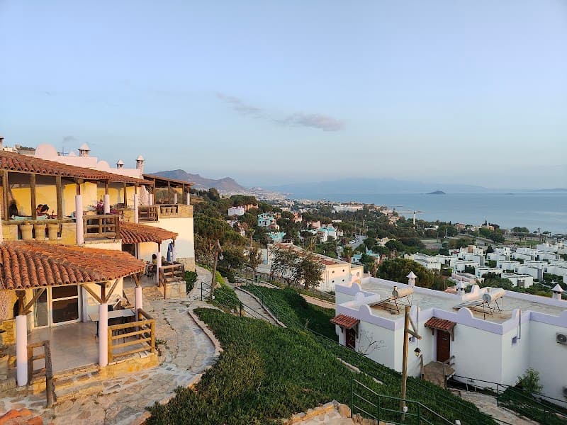 Club Armonia Genova photo