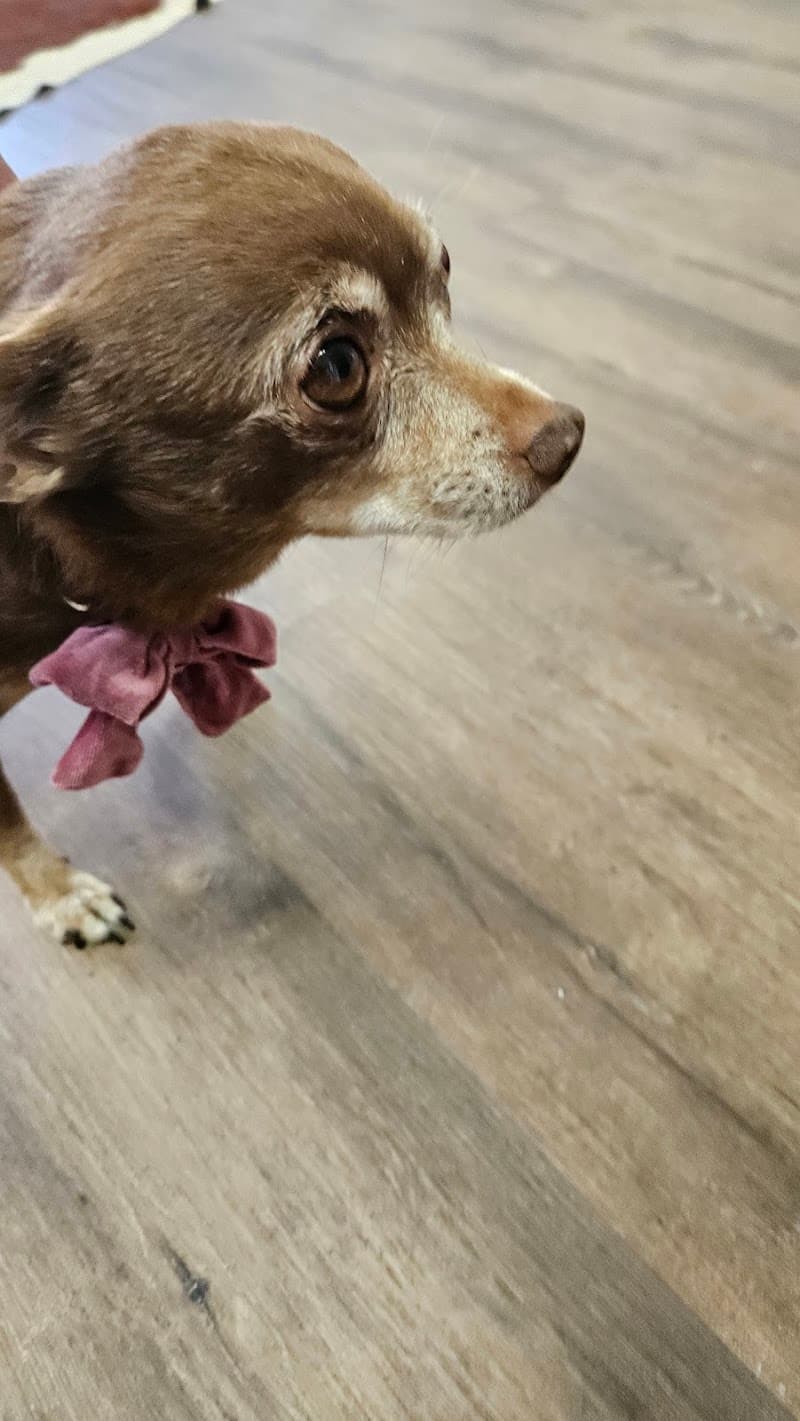 Clubhouse for Men Carlsbad photo