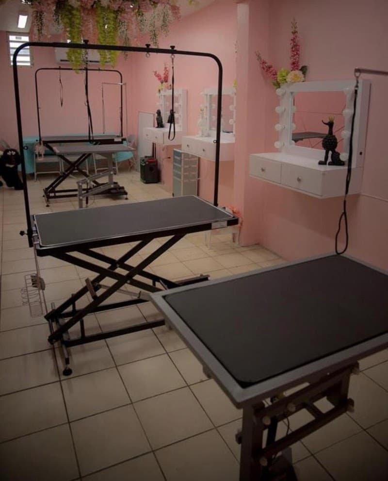 Cocco Chanell & Friends Grooming Day Spa Bayamón photo