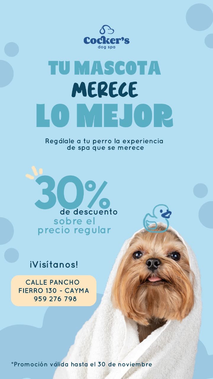 Cockers Dog Spa Cayma photo