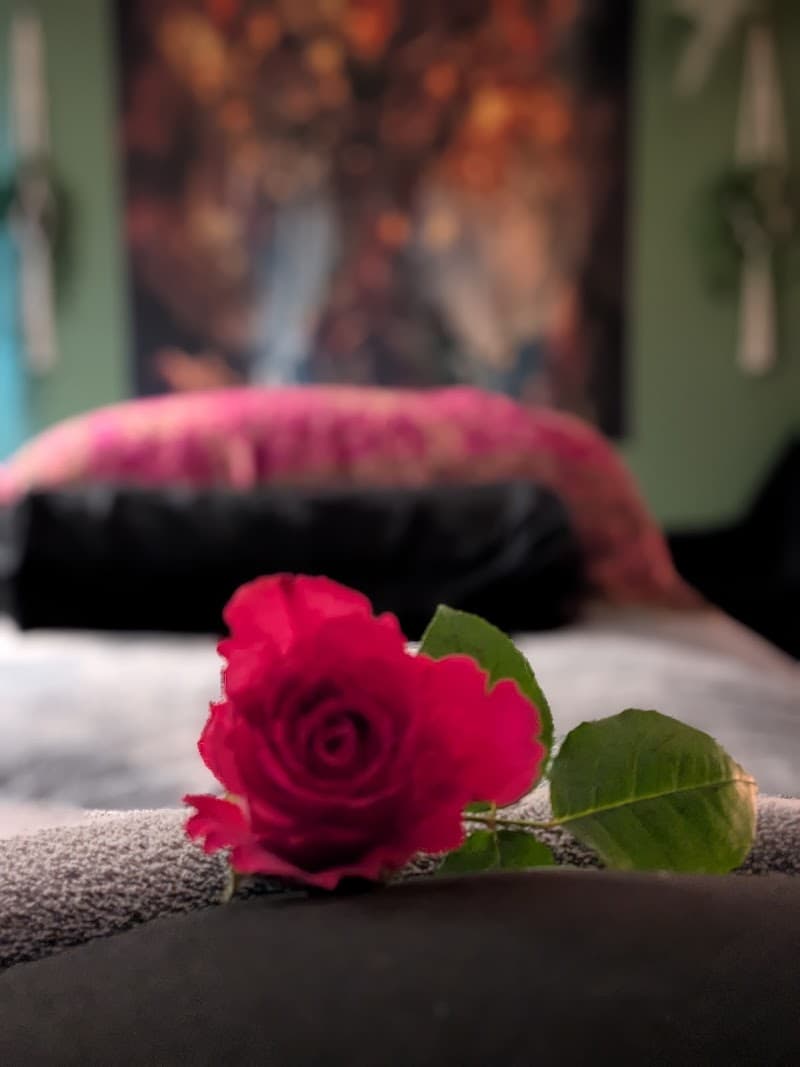 Cocoon Holistic Therapies Sidmouth photo