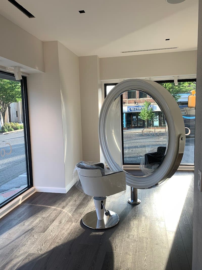Cole Wellness Spa and Salon Radnor photo