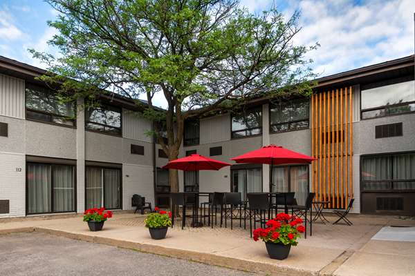 Comfort Inn West Ottawa photo