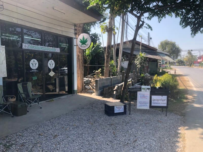 Community Enterprise Herbal Center Pa Tueng Subdistrict Mae Chan District Chiang Rai Province photo