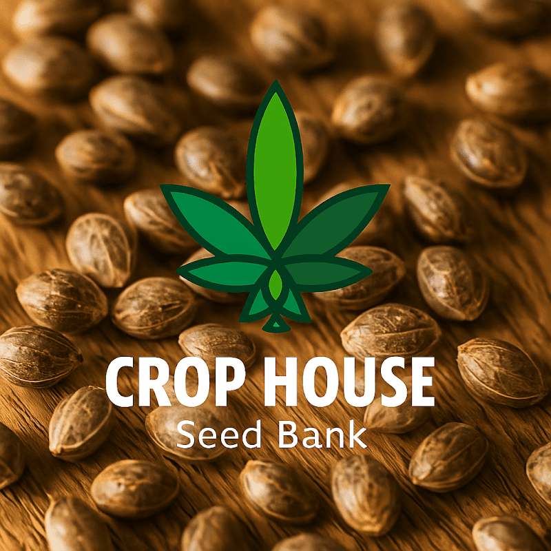 Community Enterprise Safe Plants Herbal Baan Mab Kae photo