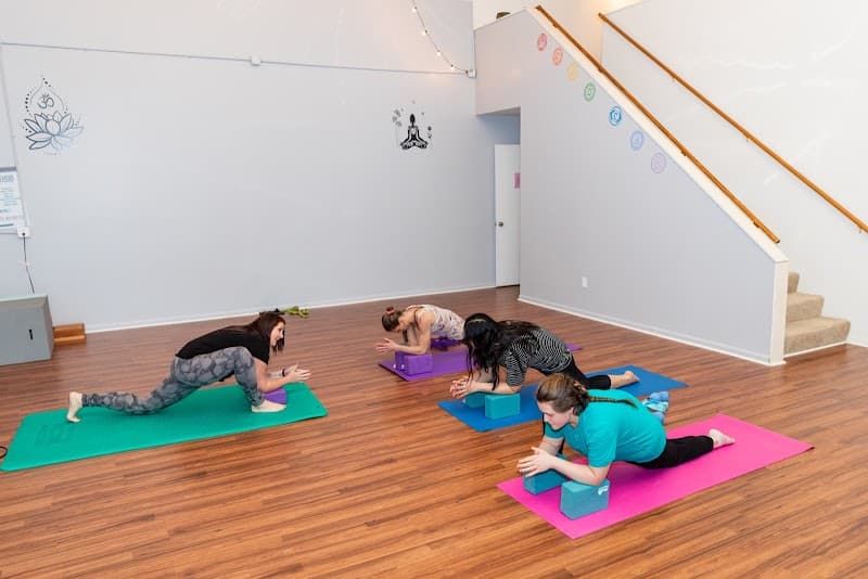 Community Massage & Holistic Therapies Troy photo