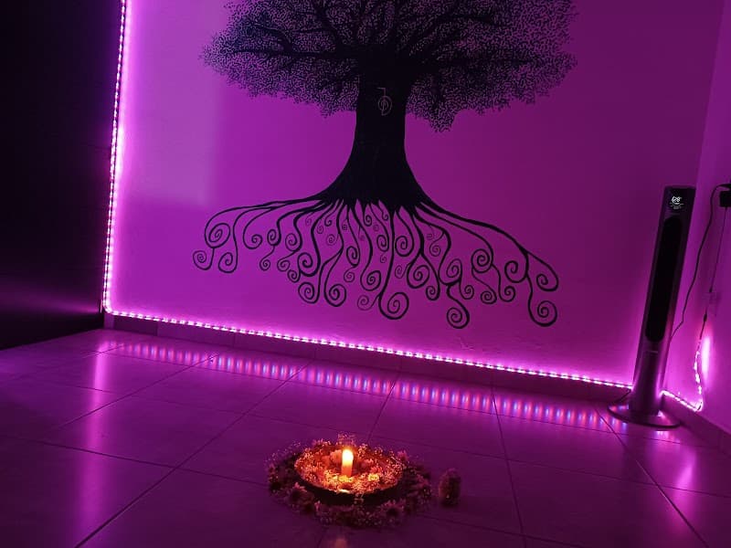 Conecta Terapias Alternativas Purépero de Echaiz photo