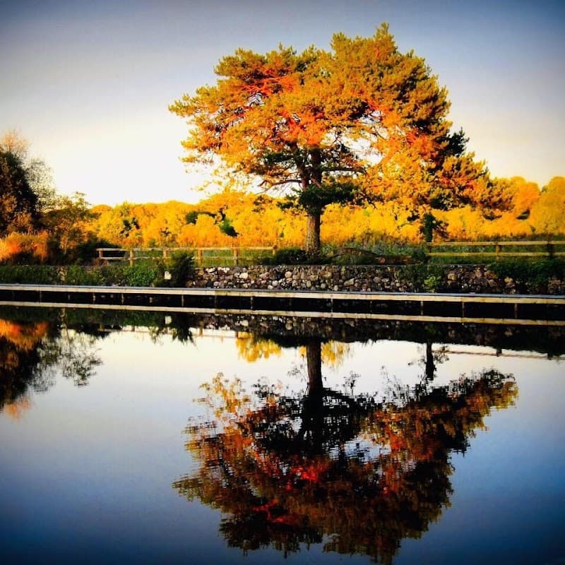 Coolbawn Quay (CBQ) Lakeshore Spa & Marina Nenagh photo