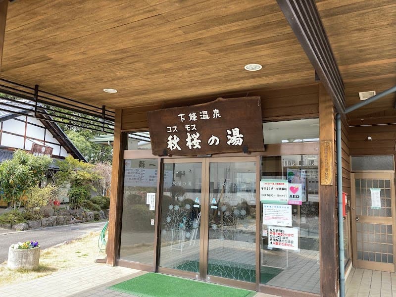 Cosmos no Yu Shimojo Village, Shimoina District photo