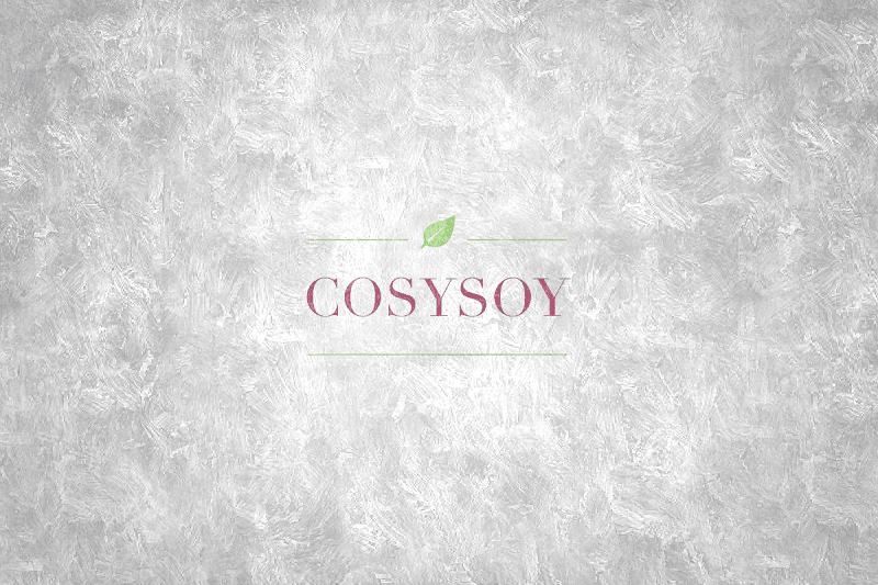 COSYSOY Ruse photo