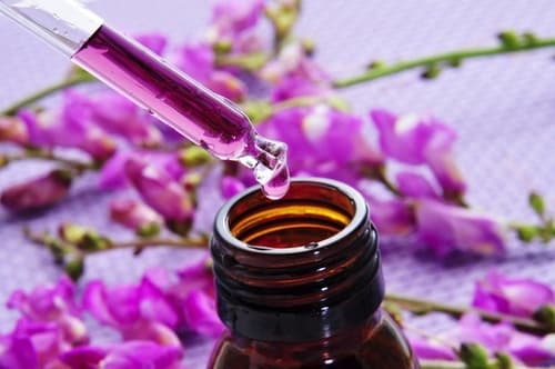 Counseling relazionale, Reiki e Fiori di Bach Roma photo