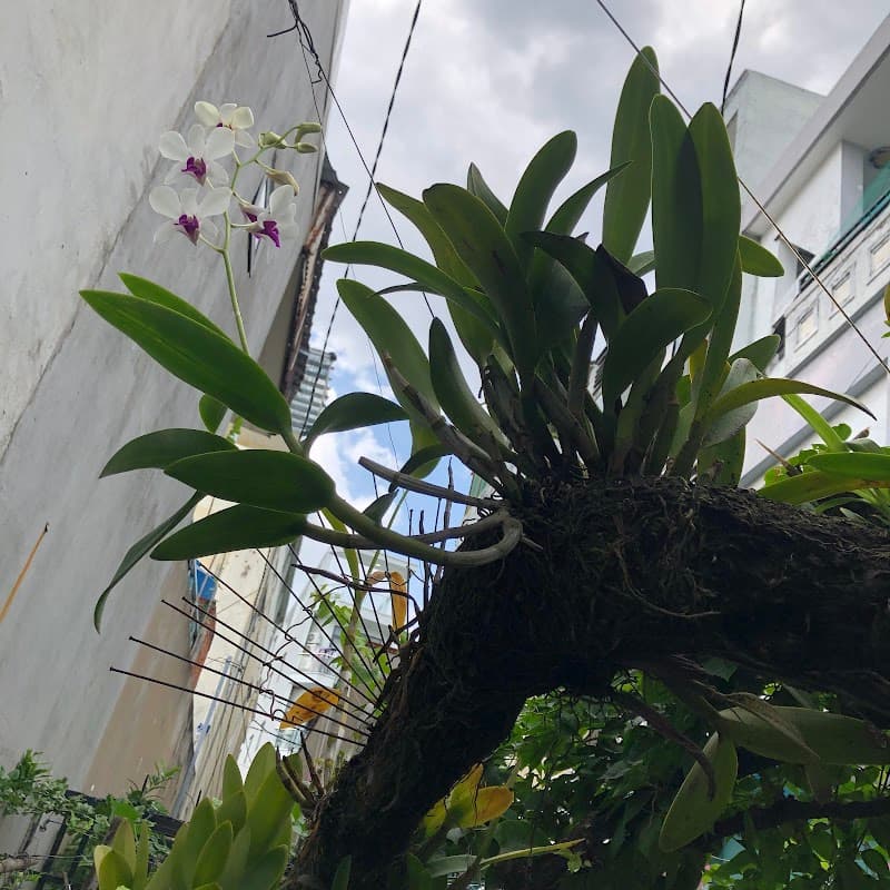 Cozy Beauty Spa Quận Bình Thạnh photo