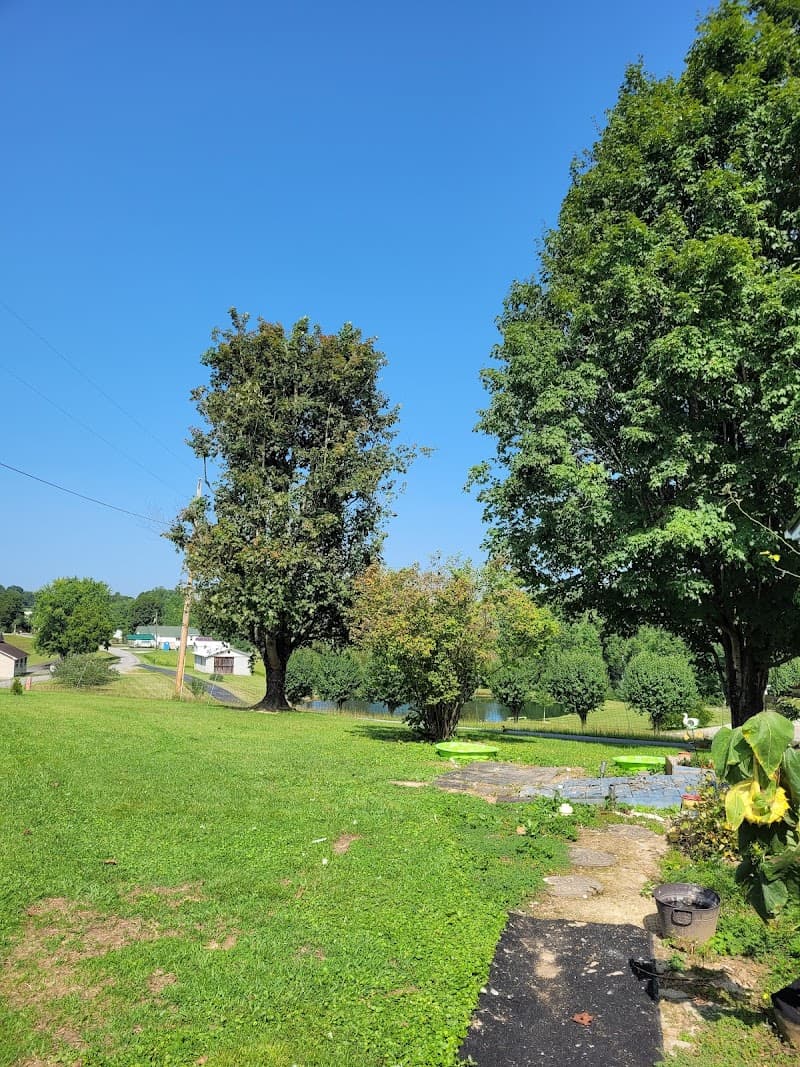 Cranes Natural Health London photo