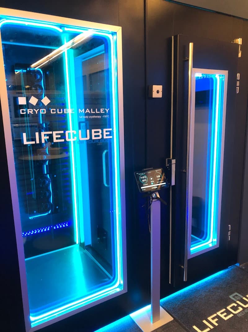 Cryo Cube Malley Prilly photo