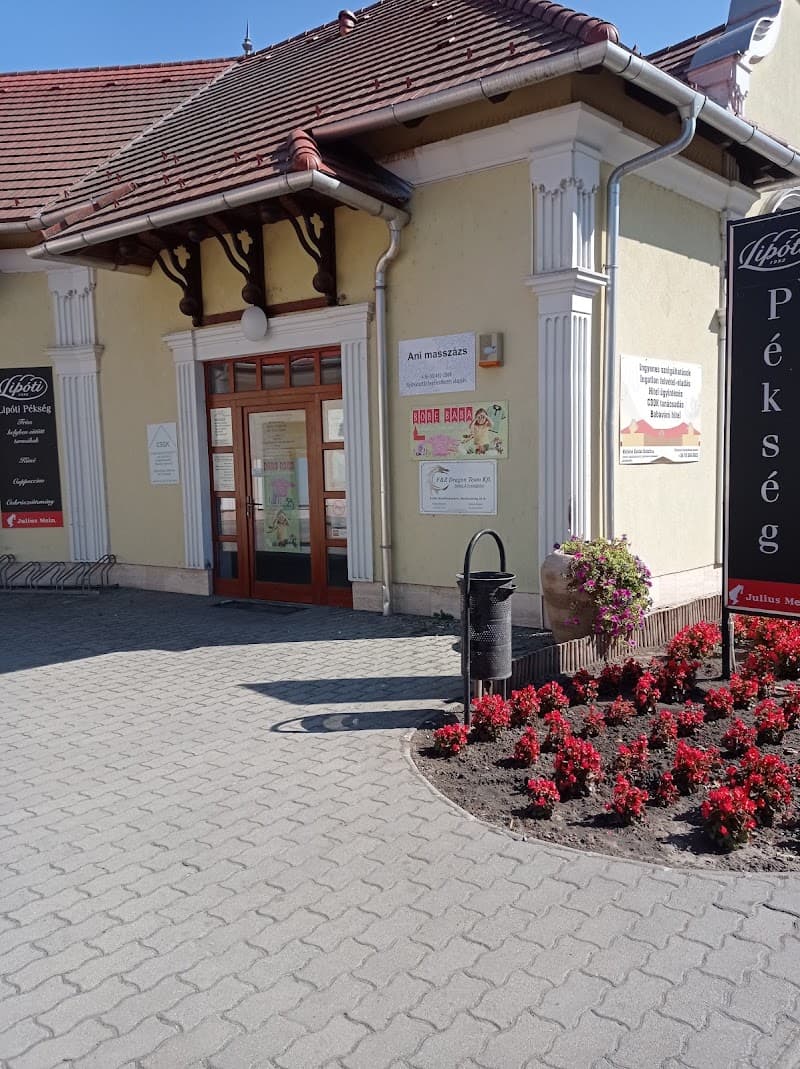 Csillagvirág Masszázs Jászfényszaru photo