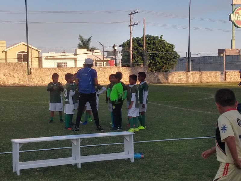 Cto Espa Ol de Tampico Ac photo