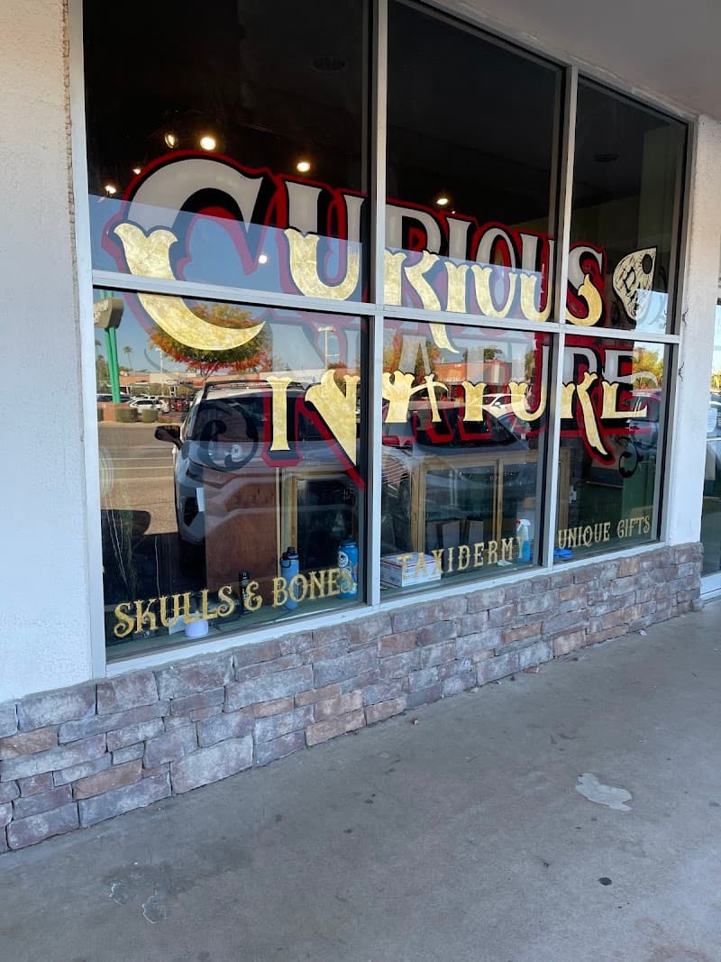 Curious Nature Apothecary East Providence photo